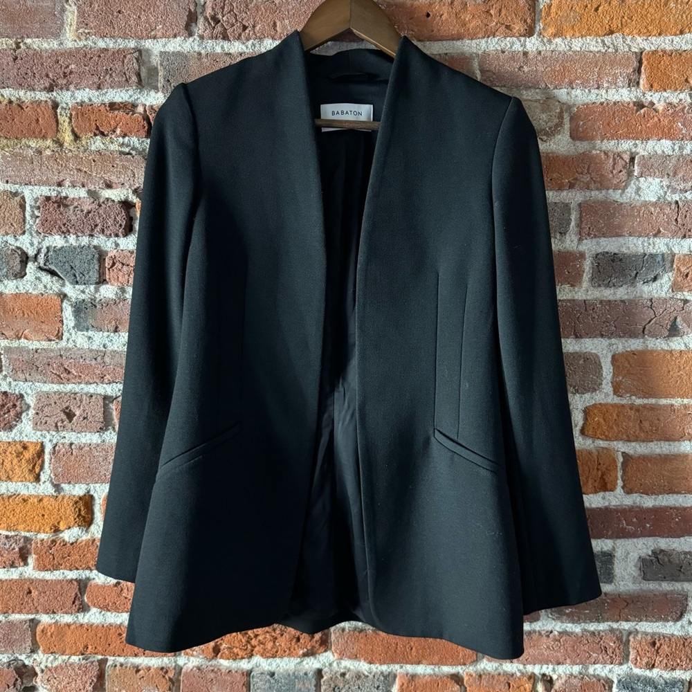 Babaton Blazer [Size 4]